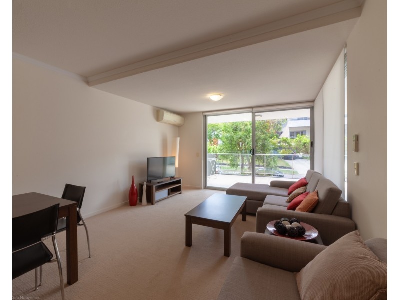 ID:21185200/95 Clarence Road, Indooroopilly QLD 4068