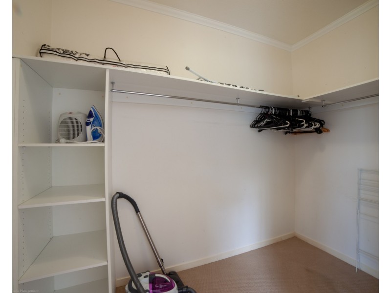 ID:21185200/95 Clarence Road, Indooroopilly QLD 4068