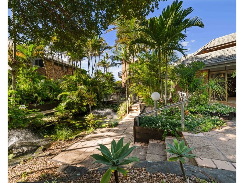 ID:21185205/388 David Low Way, Peregian Beach QLD 4573