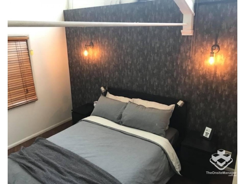ID:21185335/241 Arthur Street, Teneriffe QLD 4005