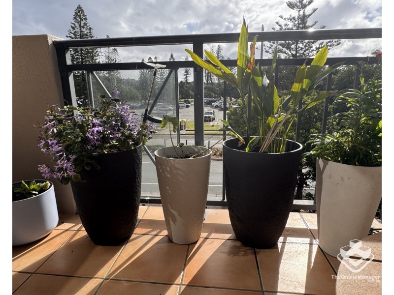 ID:21185715/4-6 Beerburrum Street, Dicky Beach QLD 4551