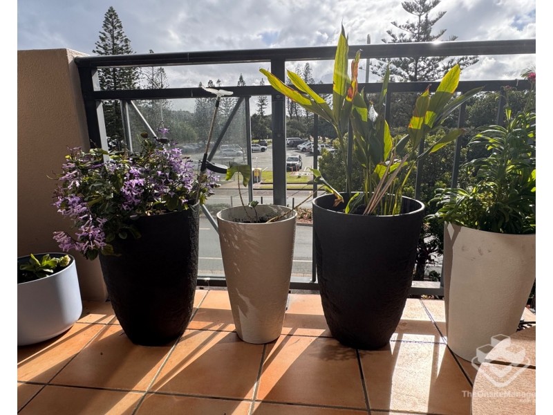 33/4-6 Beerburrum Street, Dicky Beach QLD 4551