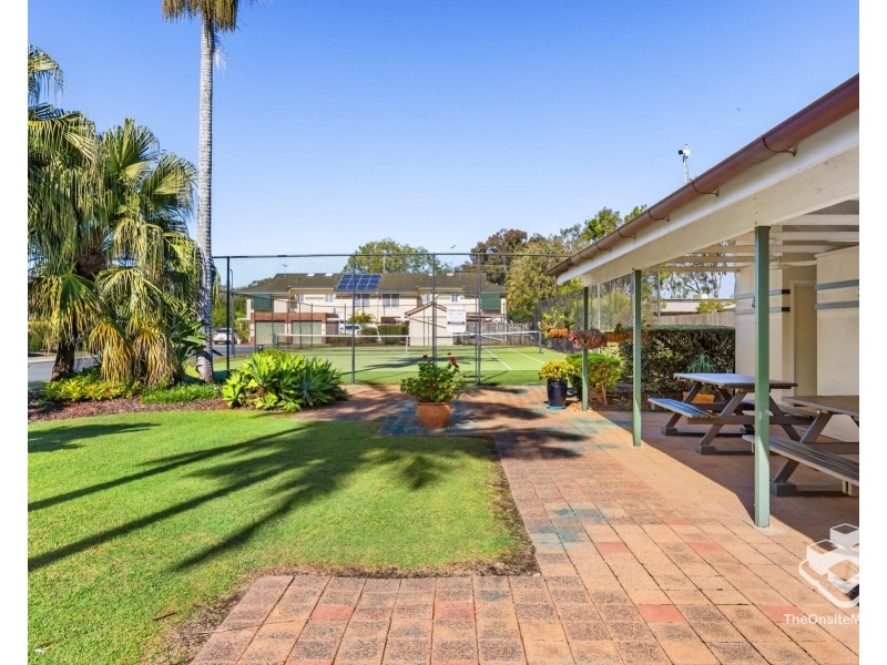 ID:21185775/39 Pitta Place, Carseldine QLD 4034