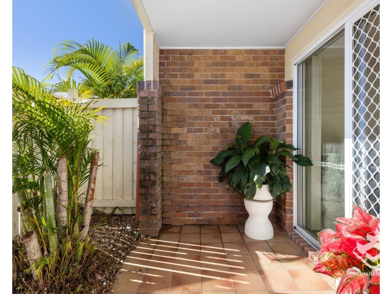 ID:21185775/39 Pitta Place, Carseldine QLD 4034