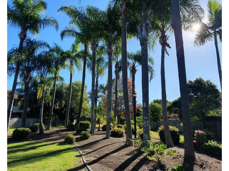 ID:21185785/ 31 Usher Avenue, Labrador QLD 4215