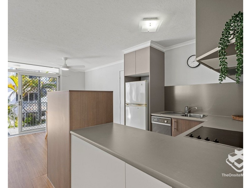 ID:21185860/93 Iluka Avenue, Buddina QLD 4575