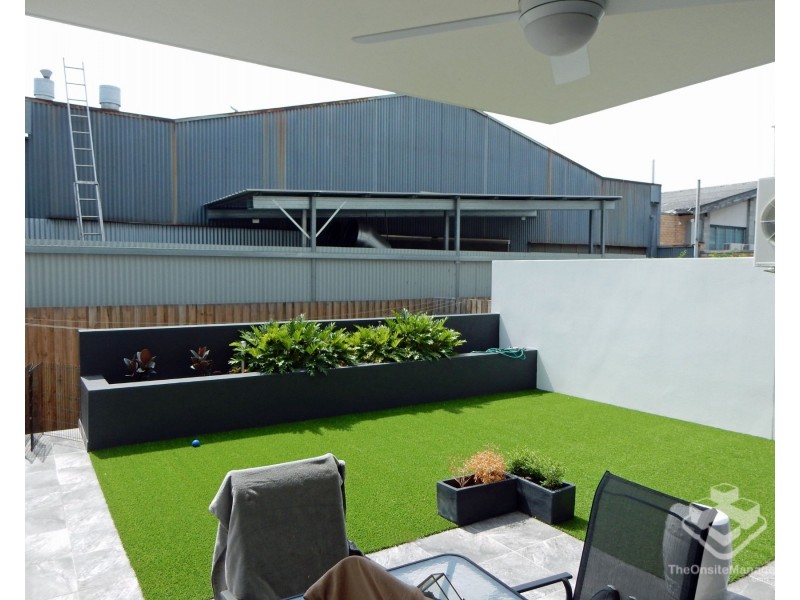 ID:21186312/38 Love Street, Bulimba QLD 4171