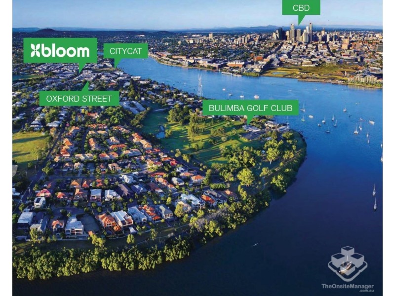 ID:21186312/38 Love Street, Bulimba QLD 4171