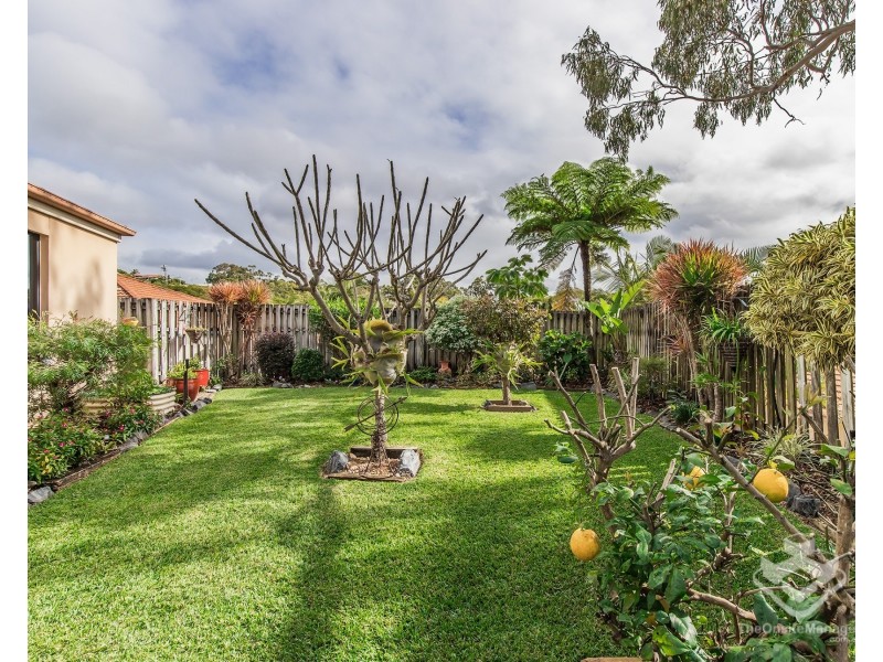 1 Studio Drive, Oxenford QLD 4210