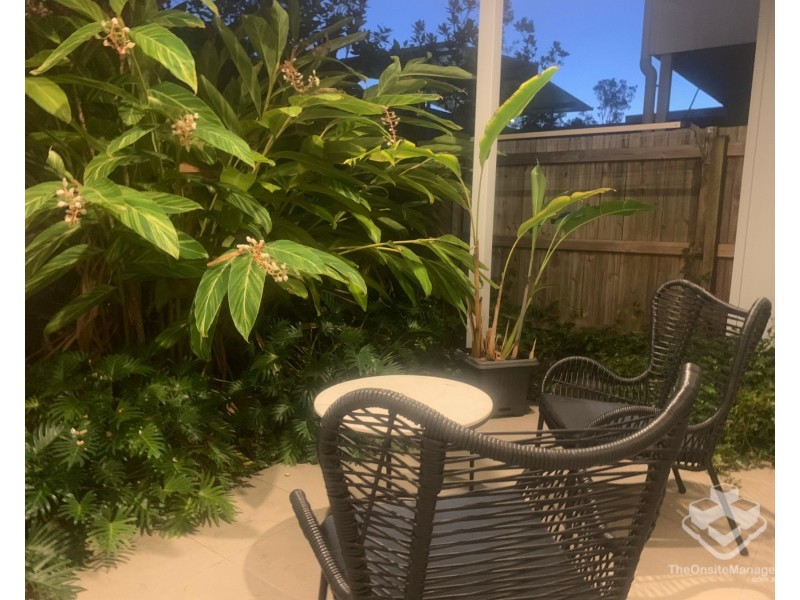 Sippy Downs QLD 4556