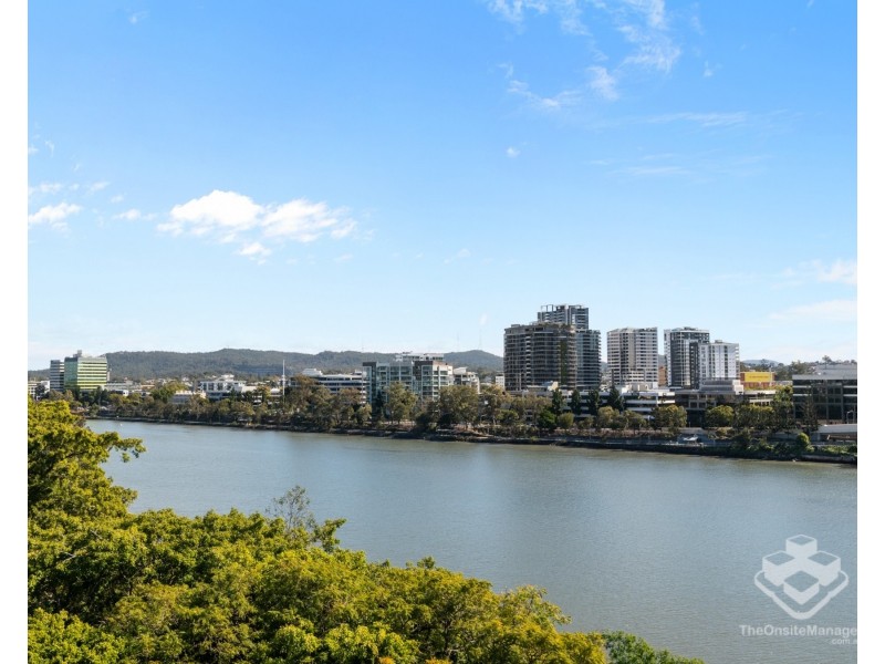 ID:21187672/25 Bouquet Street, South Brisbane QLD 4101