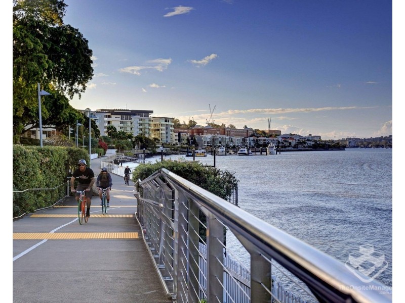 ID:21188566/39 Vernon Terrace, Teneriffe QLD 4005