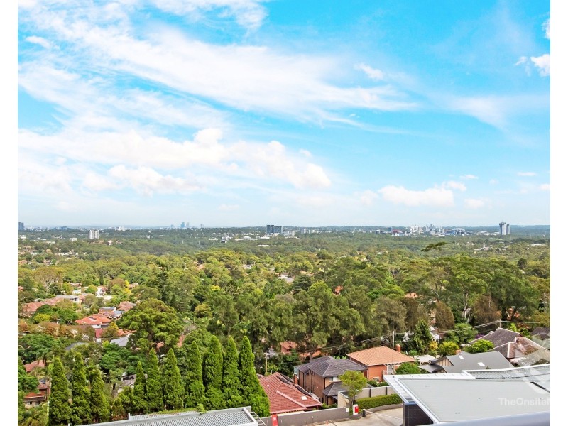 ID:21188786/14 Brown Street, Chatswood NSW 2067