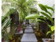 87 Toolga Street, Mount Coolum QLD 4573