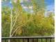 ID:21189941/ 4 Paddington Terrace, Douglas QLD 4814
