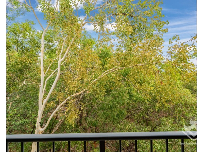 ID:21189941/ 4 Paddington Terrace, Douglas QLD 4814
