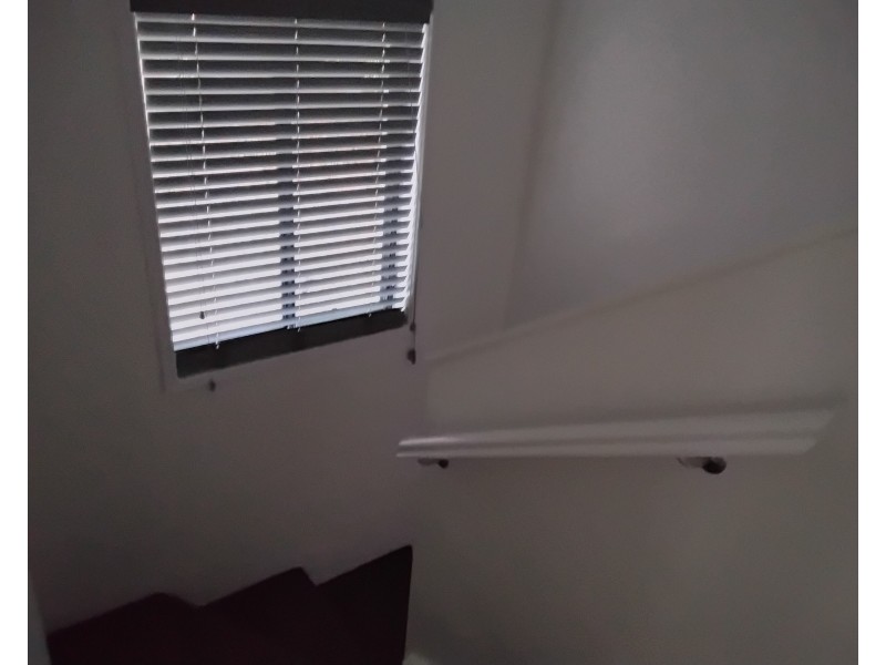 ID:21190156/9 RATA PL Rata Place, Nerang QLD 4211