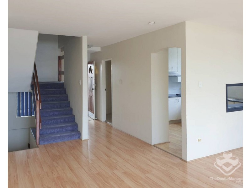 3/114 Carmody Road, St Lucia QLD 4067