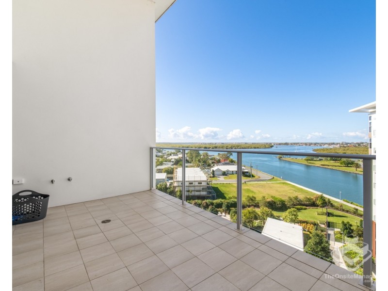 ID:21190726/93 Sheehan Avenue, Hope Island QLD 4212