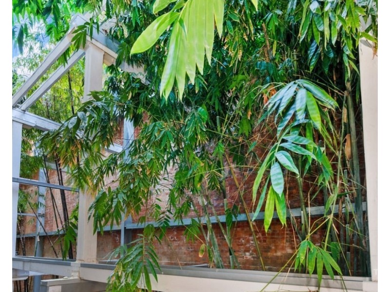 8/16 Skyring Terrace, Teneriffe QLD 4005
