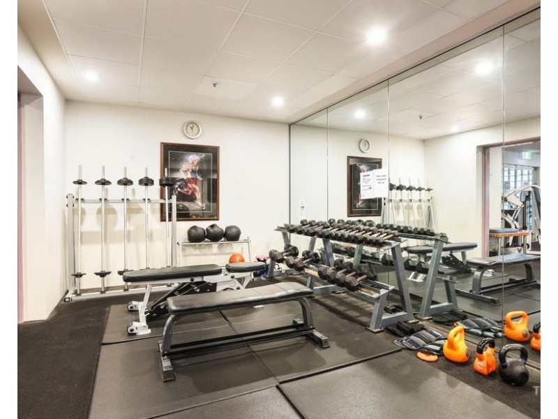 ID:21190867/12 Commodore Drive, Surfers Paradise QLD 4217