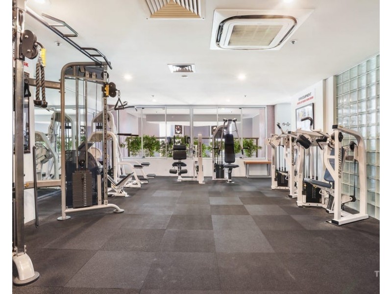 ID:21190867/12 Commodore Drive, Surfers Paradise QLD 4217