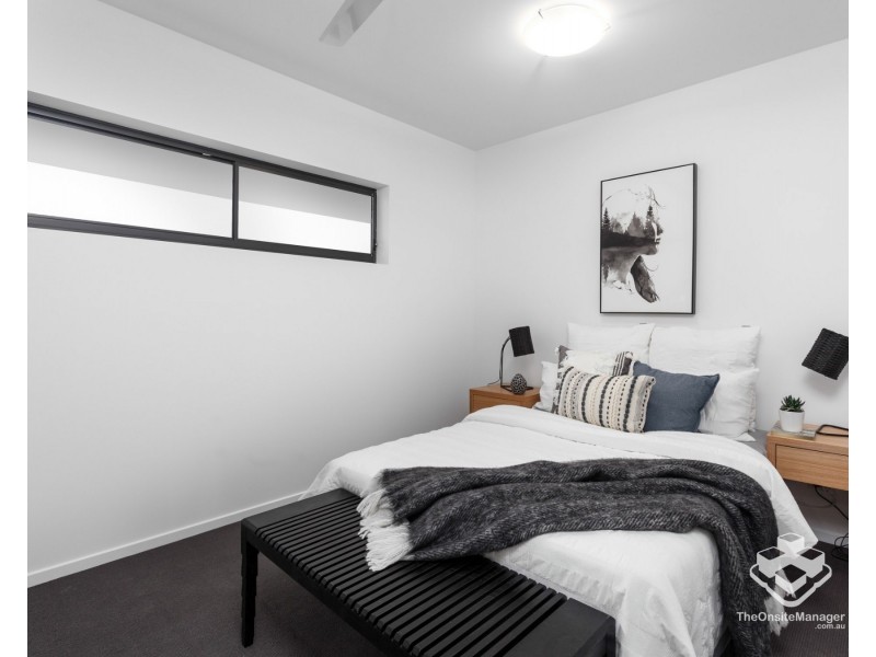ID:21191072/8 Holden Street, Woolloongabba QLD 4102