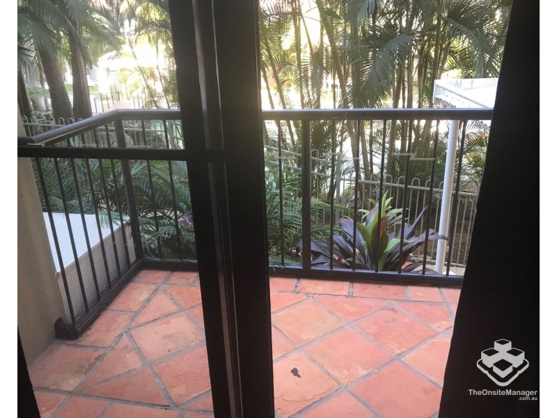 ID:21191177/A06 Great Hall Drive, Miami QLD 4220