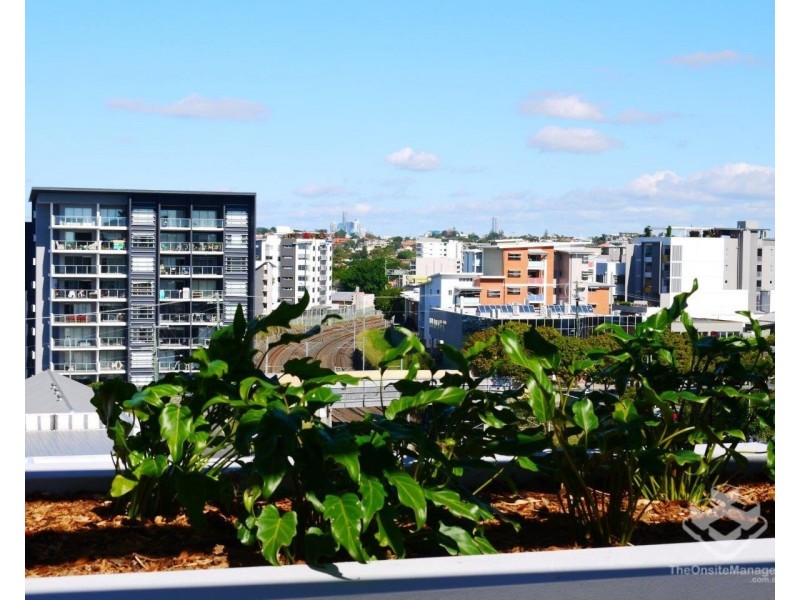 ID:21191612/1 York Street, Nundah QLD 4012