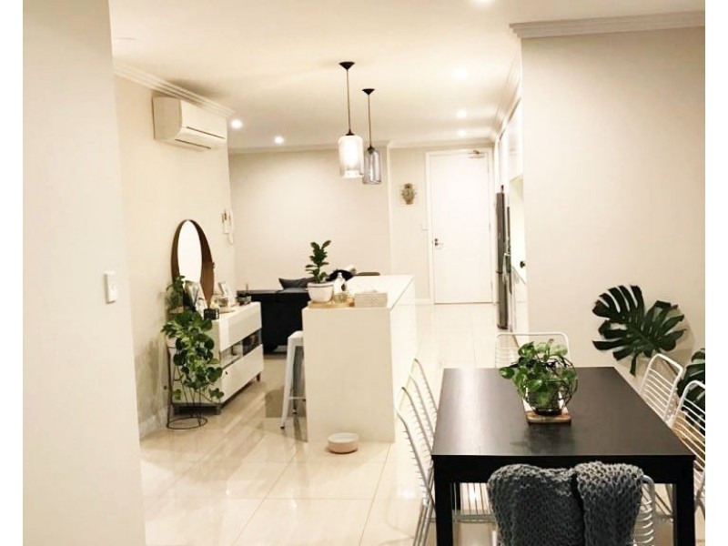 ID:21192645/38 Love Street, Bulimba QLD 4171