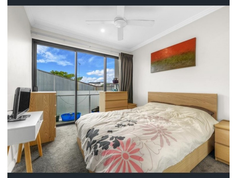 ID:21192645/38 Love Street, Bulimba QLD 4171