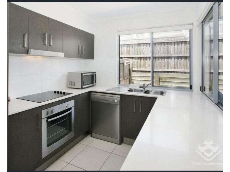 ID:21192971/11 Crayfish Street, Mountain Creek QLD 4557