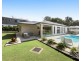 81 Palmwoods Montville Road, Palmwoods QLD 4555