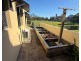 ID:21194943/33 Dixon Street, Coolangatta QLD 4225