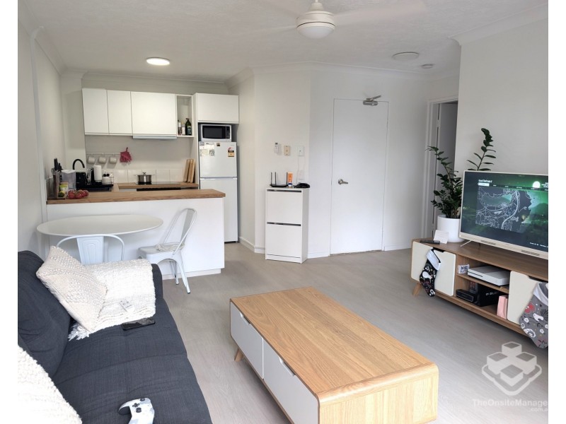 ID:21195014/35 Palm Avenue, Surfers Paradise QLD 4217