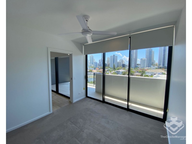 ID:21195074/256 Stanhill Drive, Surfers Paradise QLD 4217