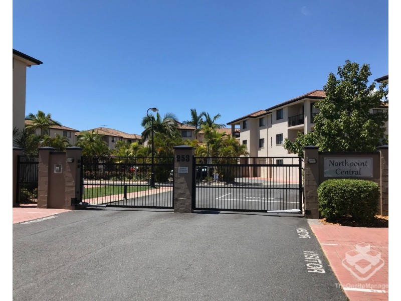ID:21196690/ 253 Melton Road, Northgate QLD 4013