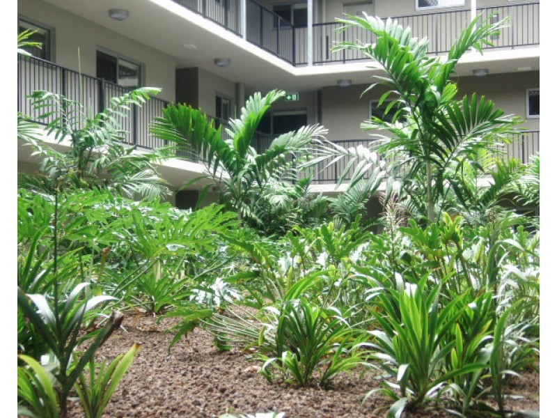 ID:21197315/521-525 Varley Street, Yorkeys Knob QLD 4878