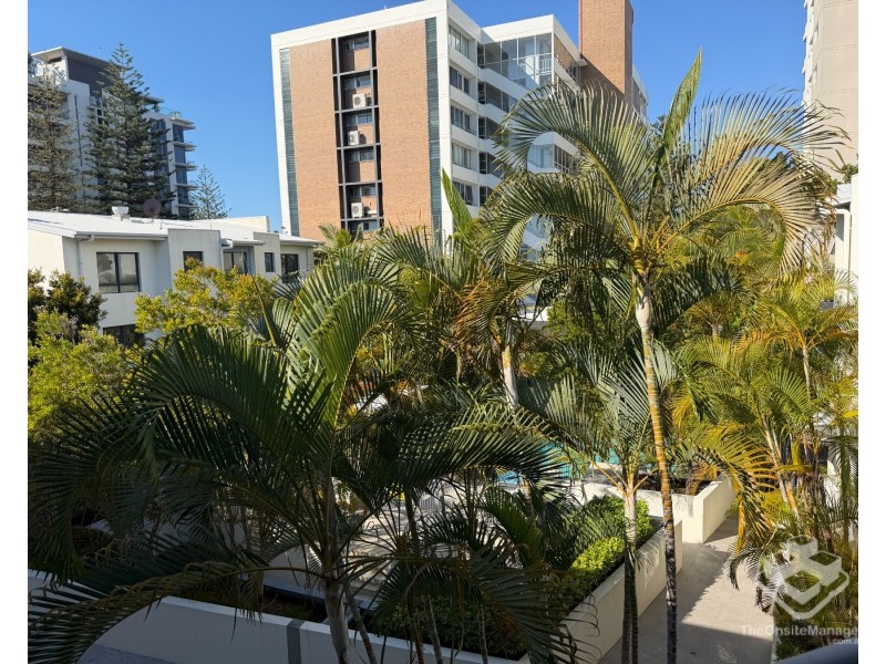 ID:21197730/6 Fifth Avenue, Burleigh Heads QLD 4220
