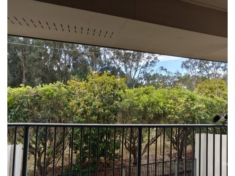 16/1 Ibis Boulevard, Eli Waters QLD 4655