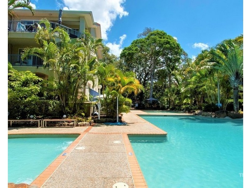 ID:21198492/40 Teemangum Street, Currumbin QLD 4223