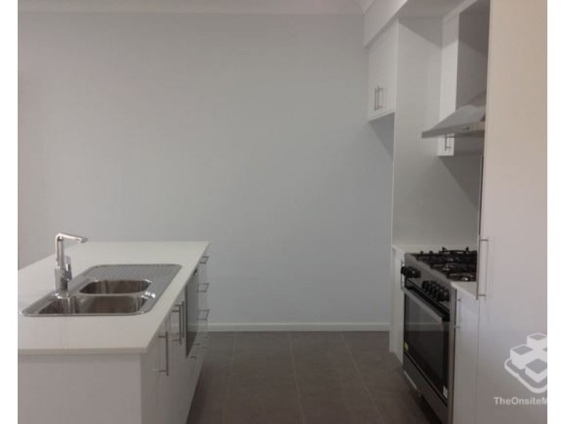 ID:21198588/8 Tavistock Street, Torquay QLD 4655