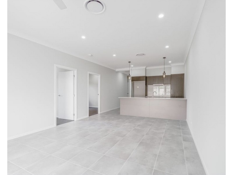 40 Zaffar Avenue, Park Ridge QLD 4125