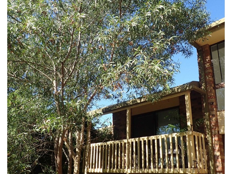 ID:21201123/8-12 Sherwood Close, Mudgeeraba QLD 4213