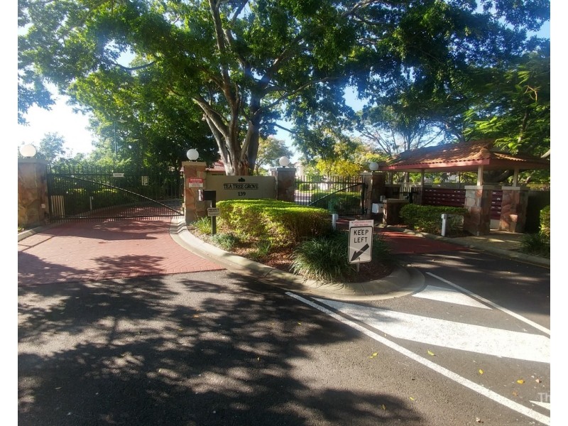 ID:21201173/139 Pring Street, Hendra QLD 4011