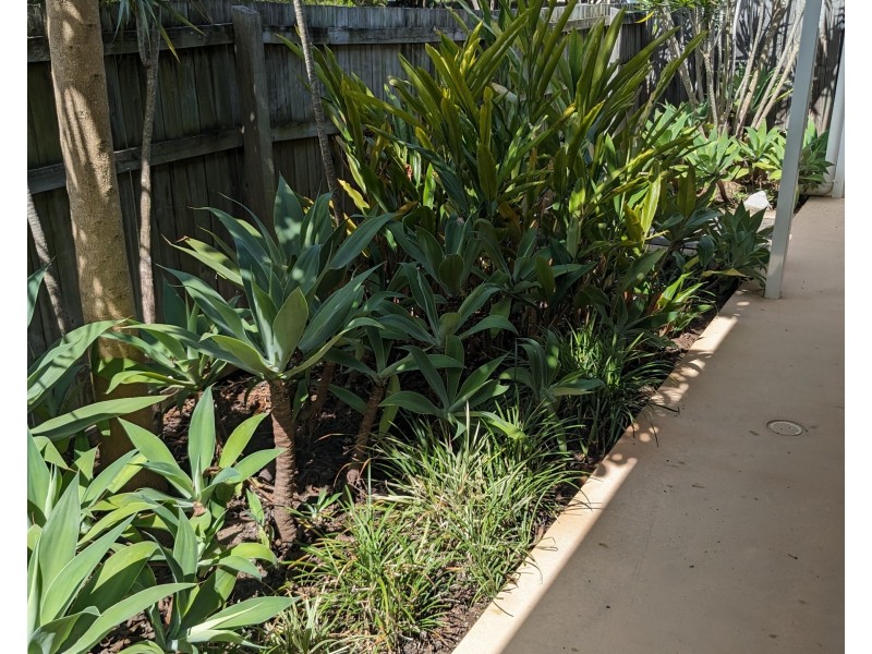 ID:21201403/71 Elizabeth Street, Urangan QLD 4655