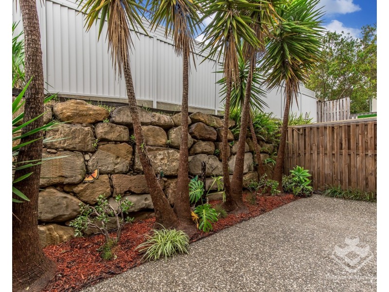 29/1 Belongil Street, Pacific Pines QLD 4211