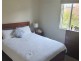 36 Winchester Street, Hamilton QLD 4007
