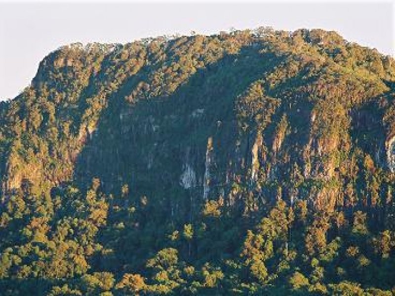 Currumbin Valley QLD 4223