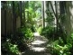 ID 7832, Surfers Paradise QLD 4217